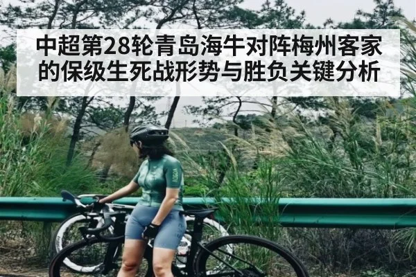 中超第28轮青岛海牛对阵梅州客家的保级生死战形势与胜负关键分析